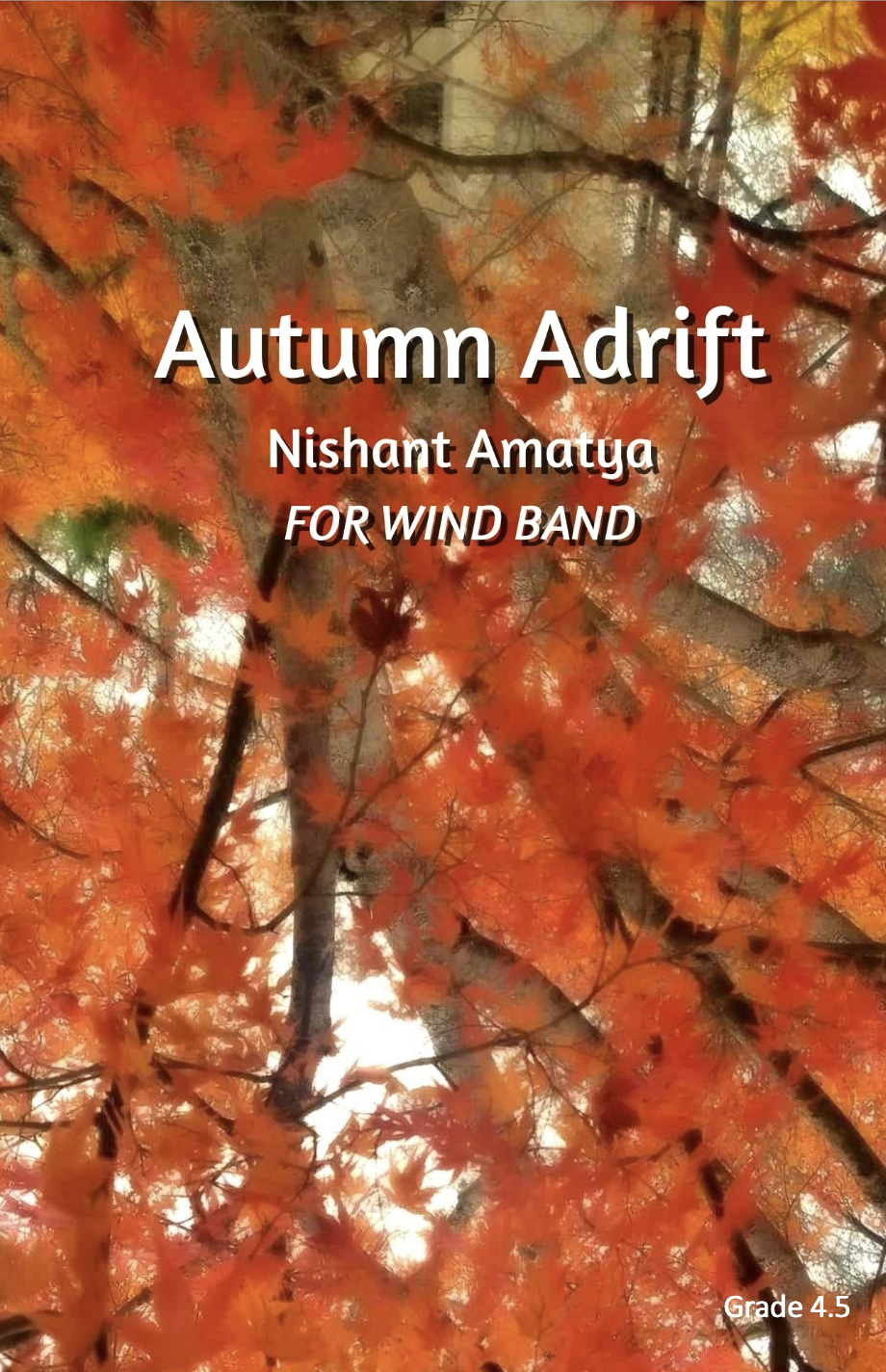 Autumn Adrift by Nishant Amatya