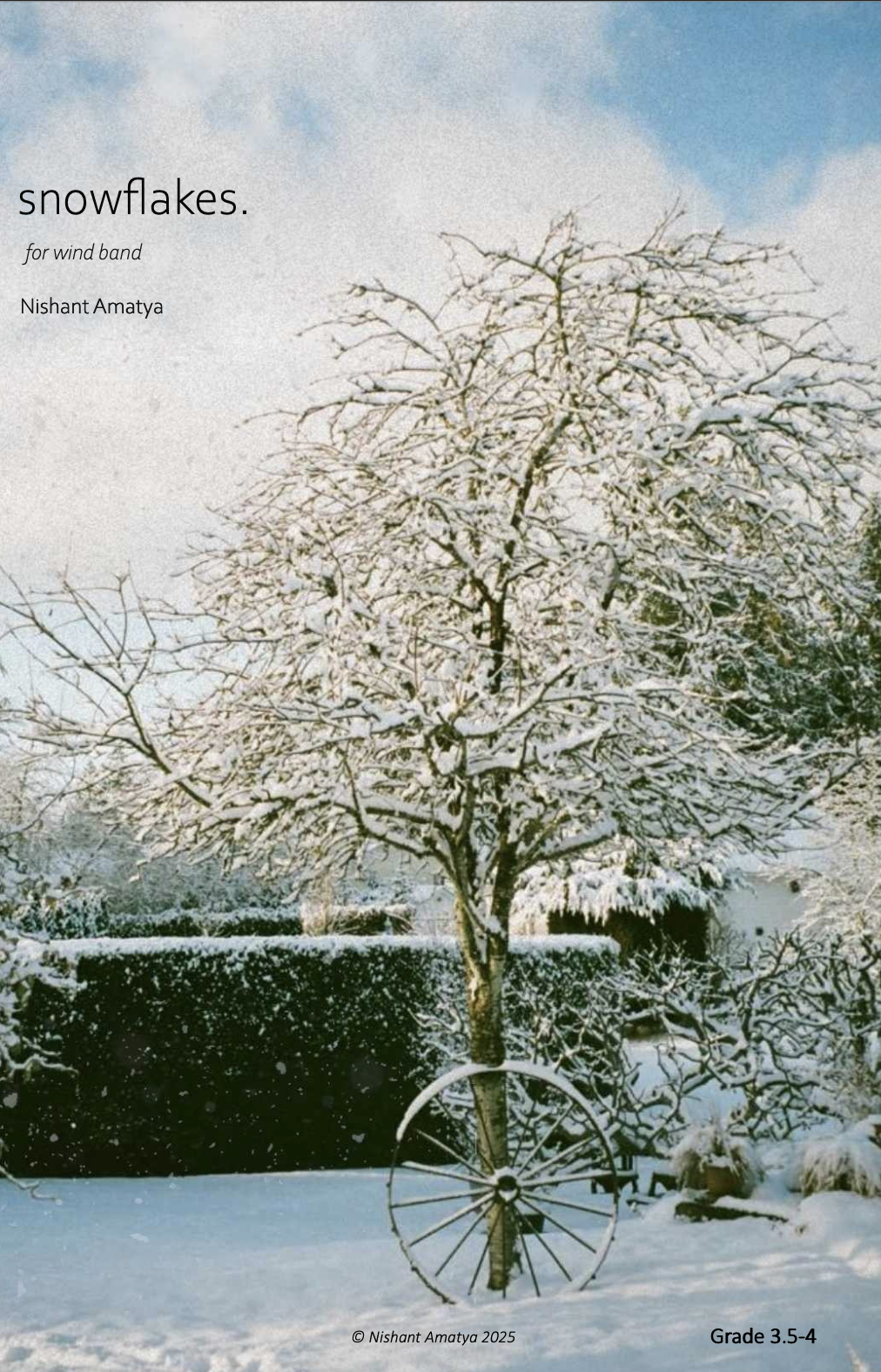 Snowflakes. by Nishant Amatya