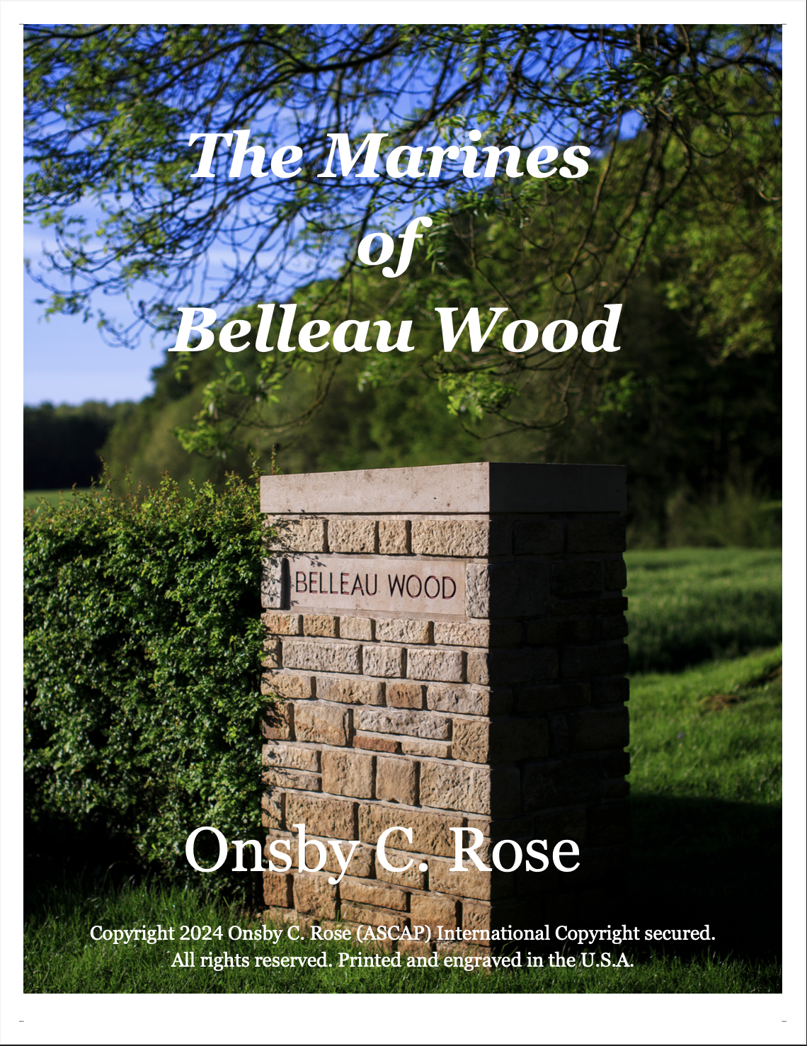 The Marines Of Belleau Wood by Onsby C. Rose