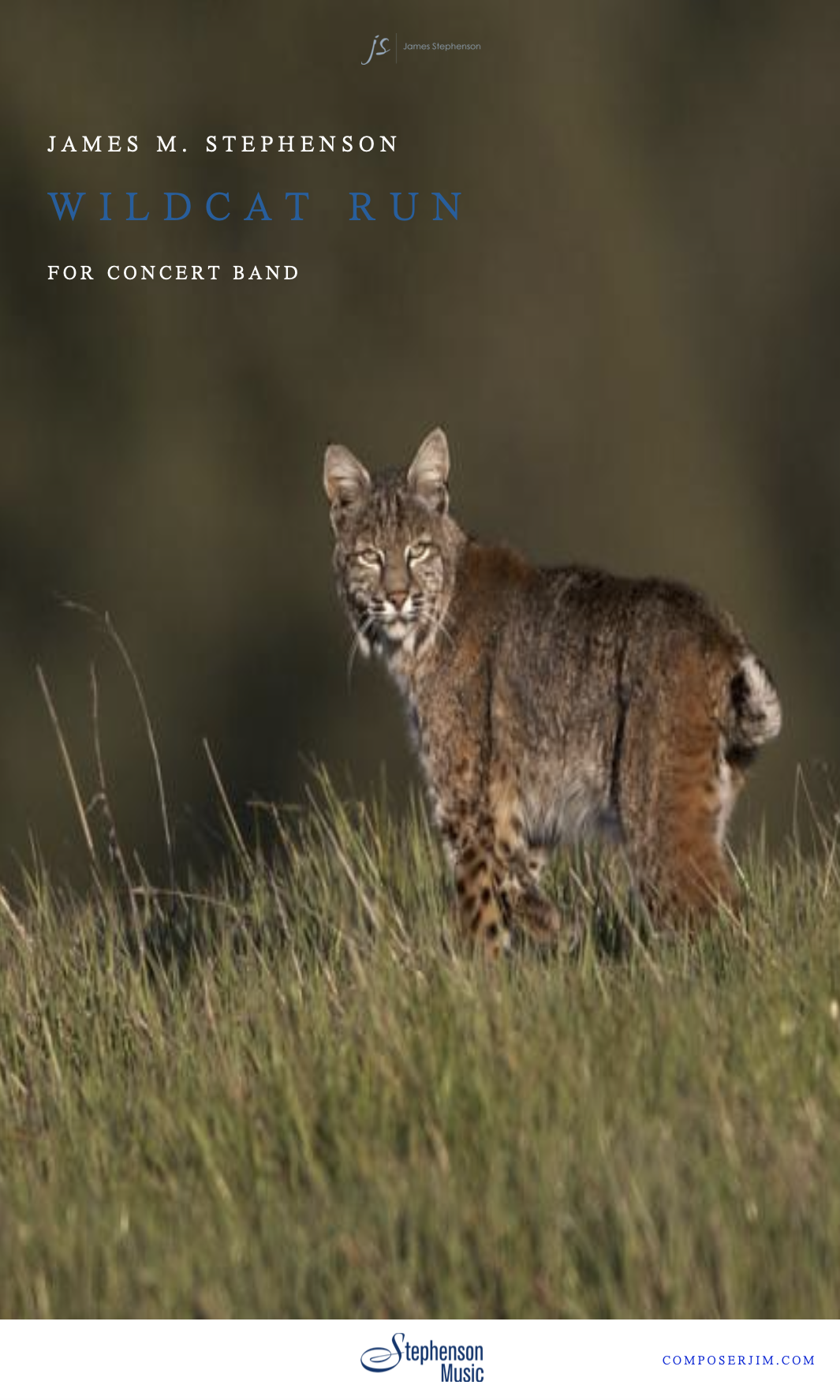 Wildcat Run by James Stephenson