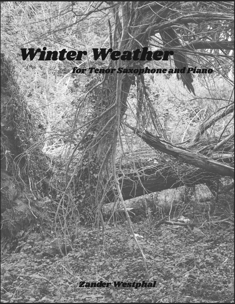 Winter Weather by Zander Westphal